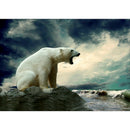 Full Drill Rhinestone Picture DIY Animals Diamond Painting Poster (LD622)