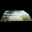 5x3FT Seaside Beach Palm Vinyl Studio Photography Backdrop Photo