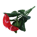 Anthurium, green potted anthurium flowers indoor green plants balcony