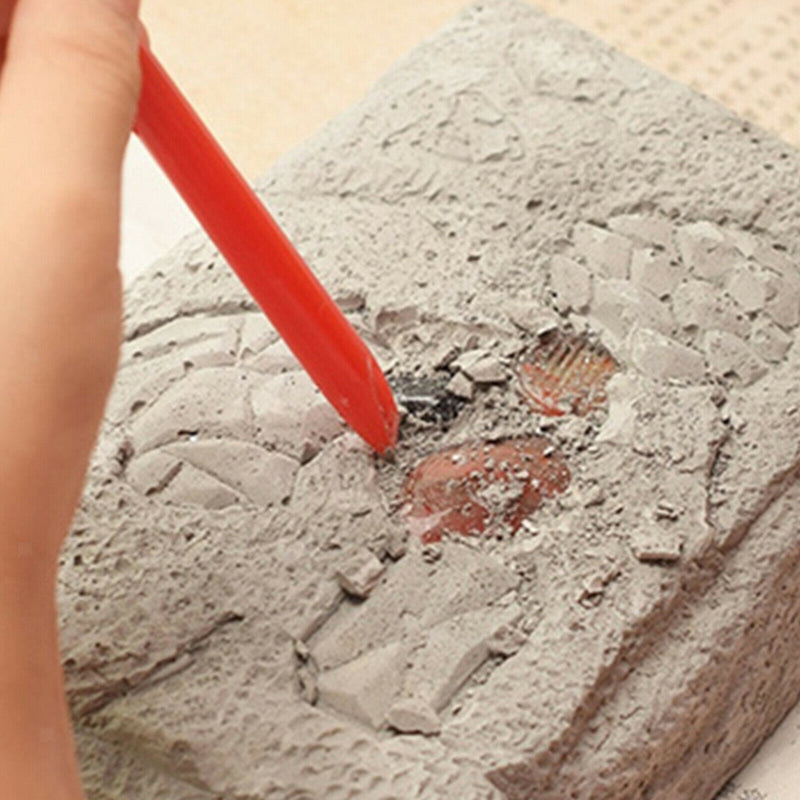 Precious Stones Excavation Kit Archeology Dig Up Fossils Treasure Enfa