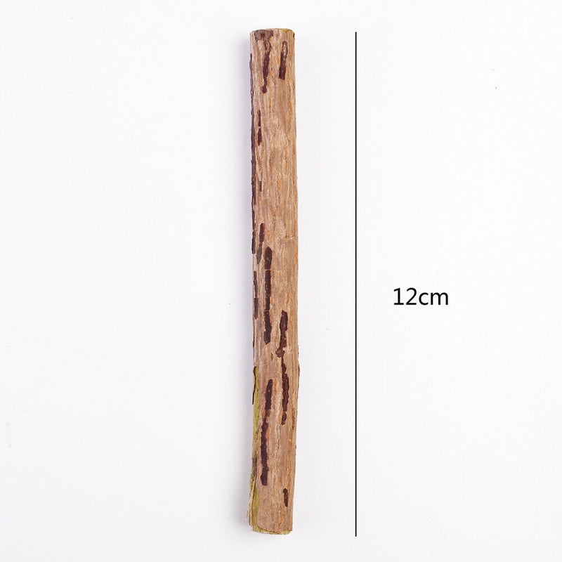 Cat Cleaning Teeth Pure Natural Catnip Stick Silvervine Tasty Snacks Treat Toys