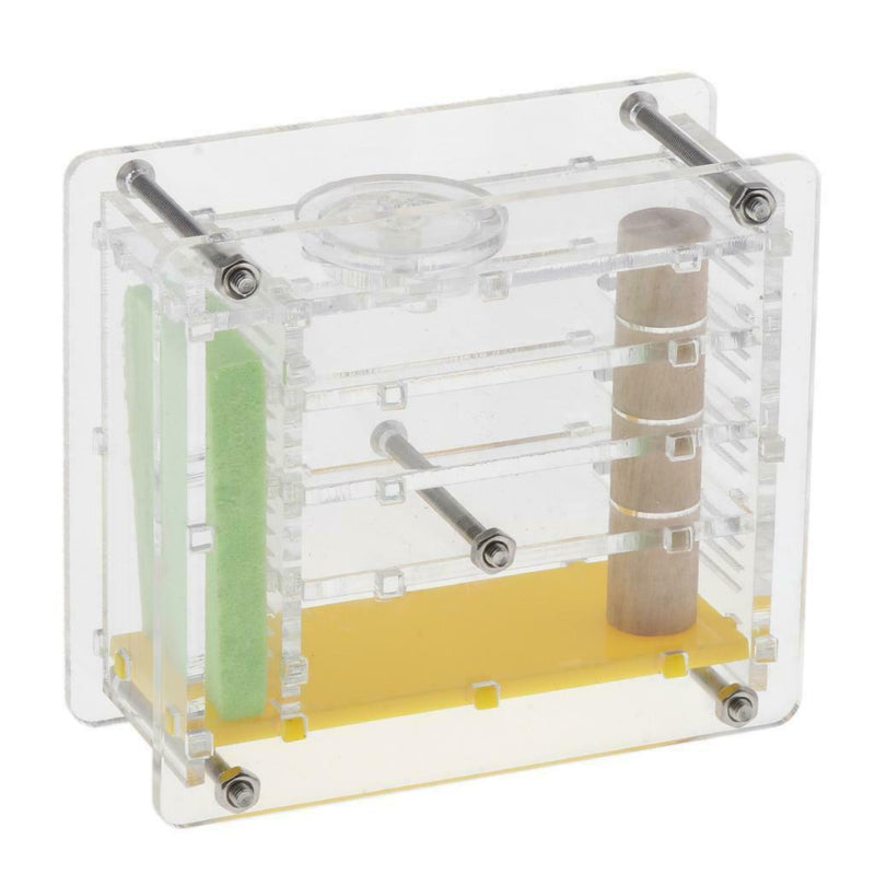 Clear Ant Feeding Nursery Box Ant Farm House Castle For Insect Ant Reptile B