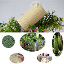 1X Natural Loofah Luffa Loofa Sponge Bath Shower Spa and Body Scrubber JR BX