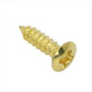 10pcs Permium Golden Screws fit Electric Guitar Pickguard Parts Accessories