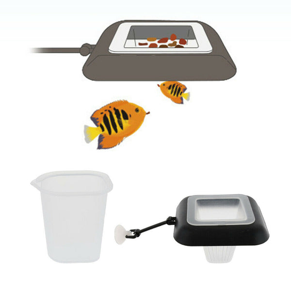 Fish Feeding  Aquarium Fish Safe Floating Food