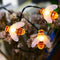 Solar Powered String Lights 30LED Honey Bee Shape for Garden Decoration CourC4V4