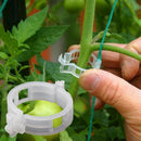 50pcs Trellis Tomato Clips Supports Connects Plants Vegetable Fastening ClipM&