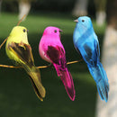 Simulation Feather Foam colorful bird Garden Bird lawn Prop DecorationEBJ ouJ Kw