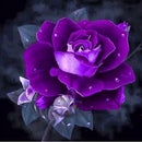 Diamond Embroidery Rose Flowers Round DIY Diamond Painting Cross Stitch SN9F