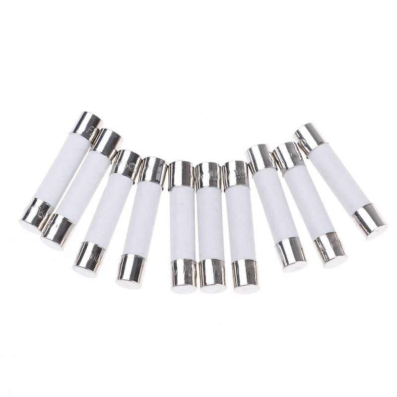 10 Pcs Microwave Ceramic Fuse Electric 20A 250V Home Supplies DIY 6x30mm.ftL Ew
