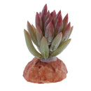 2PCS Aquarium Fish Tank Plants Succulents Reptile Hideaway Decoration - Reptile