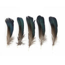 100PCS Rooster Tail Feathers 10-15CM Craft Hat Arts Decorations Wedding Card