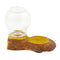 Reptile Automatic Waterer Turtle Basin Dish  Water Feeder