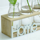 1X(Small Fresh Transparent Glass Vase Hydroponic Green Plant Container Livi