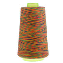 5 Spools 40S/2 Polyester Thread Kit Multi-purpose for Machine Sewing Machine