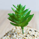 Pair of Artificial Succulents Real Touch Faux DIY Home Foliage Cactus Plants