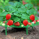 5pcs Strawberry Fruit Plant Support Holder Rack Stand Protection Garden Tool