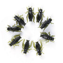 20x Soft Fishing Lures Pesca Lightweight Cricket Insect Lure Simulation Baits ME