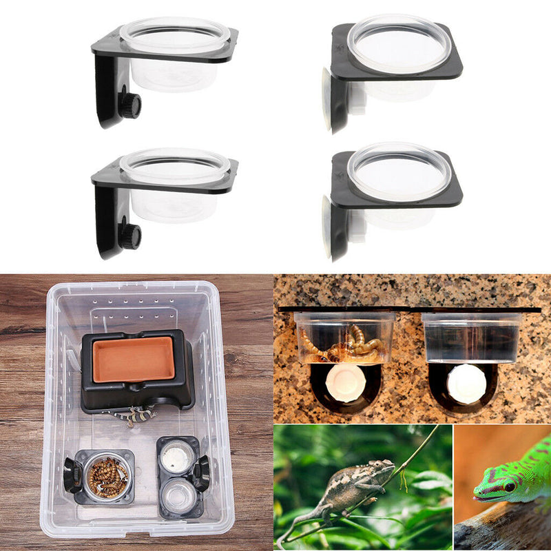 2Pcs Insect Spider Reptile Tank Food Water Feeding Bowl Terrarium Pot