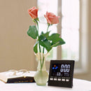 Digital LCD Alarm Clock Indoor /Outdoor Hygrometer Temperature Meter