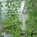 AU_1.8x1.8m Garden Green Nylon Trellis Netting Support Climbing Plant Nets Fen%x