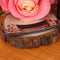 Women  Solid Color Acrylic French Hair Pin Barrette Hair Grips