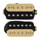 Electric Guitar  Pickup Replacement, Easy to Install