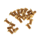 20pcs Saxophone Maintenance Screws Sax Repair Tools Parts DIY Accessories