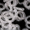 10x Clear Elastic Telephone Line Wire Hair Band Ropes Holders Head Accessory %x