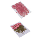 100pcs Natural Pressed Dried Flower for Wedding Party Home Holiday Decors