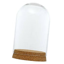 Dia.8x12cm Glass Dome Cover Cloche Jar Succulent Terrariums with Wood Cork