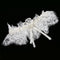 Wedding Party Pearls Bowknot Lace Flower Garter Thigh Ring Party Accessories