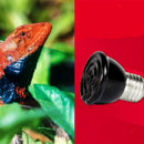 2x E27 Mini Reptile Basking Light Amphibian Terrarium Heating Lamp Bulb 100W