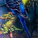 DIY 5D Diamond Painting Kit Beautiful Bird Embroidery Cross Stitch Kit