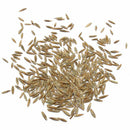 1000 stk/pack Rasensamen SunGrass Rasen Pro Grassamen I0O8 Saatg Rasen I8E9