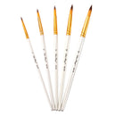5 Pcs Painting Brushes Set Acrylic Oil Watercolor Paint Artist Paint Brush