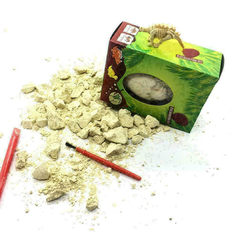 Dinosaur Egg Excavation Kit Archaeology Dig Up History Skeleton Kid Toys W4 B3Z6