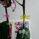 30Pcs Dragonfly Orchid Clips Orchid Grower Support Garden Plant Vine ClipsJ Gw
