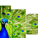 5pcs Unframed Modern Art Oil Painting Peacock Huge Wall Art Poster Decor PVC