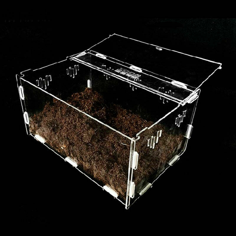 Acrylic-Reptile-Terrarium-Habitat-Ideal-Case-for-Larvae-spiders-ants-scorpi S8O4
