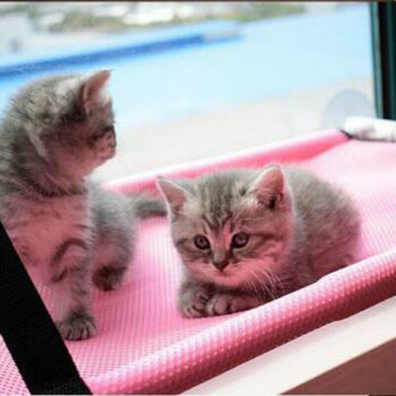Cat jumping platform detachable washable sucker cat hammock BX