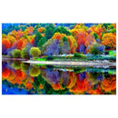 Full Drill 5D Diamond Embroidery Painting DIY Colorful Forest Cross Stitch