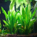 Fish Tank Aquarium Decor Green Artificial Plastic Water Grass Plant Kits Ne B5S6