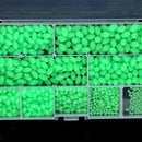 1 Box of Multi Size Oval Glow Rig Beads Sea Fishing Lure Floating Tackles