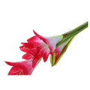Solar Power 4 LED Garden Light Yard Path Landscape Lily Flower