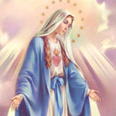 DIY 5D Diamond Painting Embroidery Cross Crafts Stitch Decor Virgin Mary