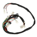 Wiring Harness Loom CDI Control Unit Coil Fit for Yamaha PY50 Dirt Bike New