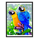 Stamped Cross Stitch Parrot Embroidery 14CT DIY Needlework 46x36cm (SZX023) A