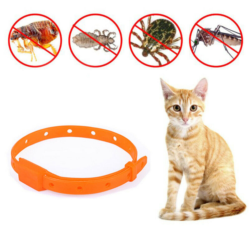 Utility Pet Dog Puppy Cat Elimination Flea Collar Anti-Flea Mosquito Trick Strap