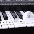 88 Keys 61 Keys 54 Keys Transparent Piano Keyboard Stickers Electronic Keyb
